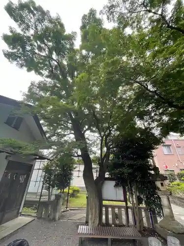 母智丘神社のその他建物