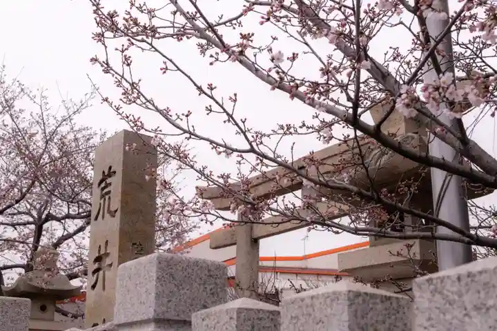 荒井神社(兵庫県)