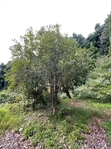 国上寺(新潟県)