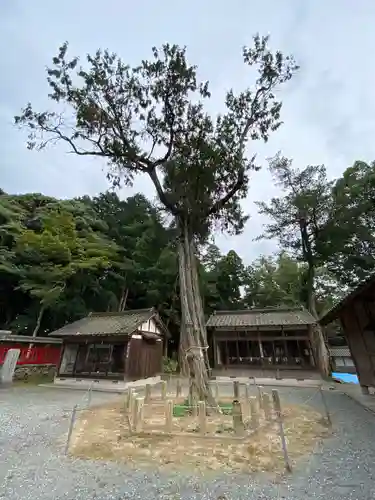 八所神社の自然