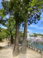 與止日女神社(佐賀県)