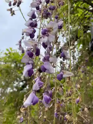 天台宗 五大山 白毫寺(兵庫県)