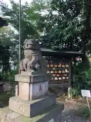 立川熊野神社の狛犬