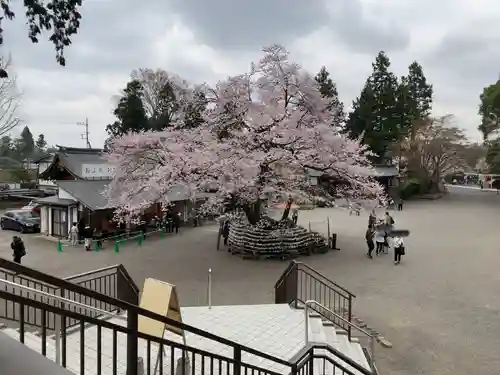 高麗神社の景色