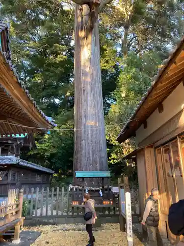 事任八幡宮(静岡県)