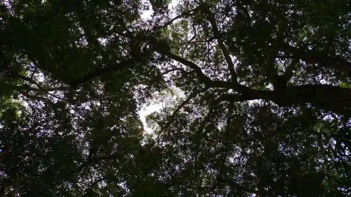 伊雜宮(皇大神宮別宮)(三重県)