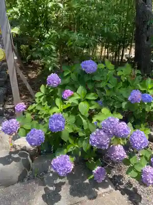 菊田神社(千葉県)