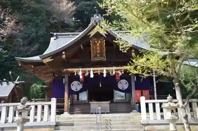 毛谷黒龍神社(福井県)