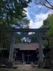 柳窪天神社（黒目川天神社）　の鳥居