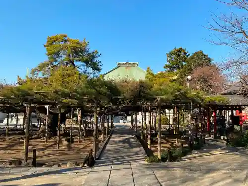 善養寺の庭園