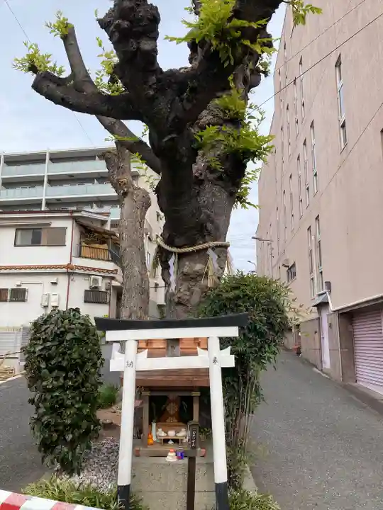 白光大神 (大阪府)