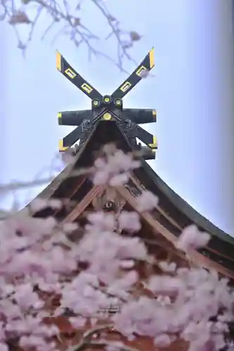 富士山本宮浅間大社(静岡県)