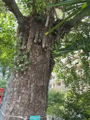 成子天神社(東京都)