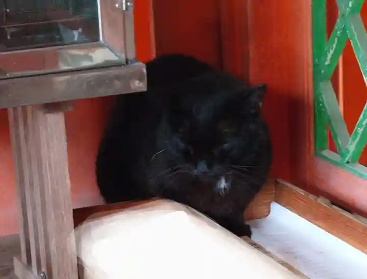 藤森神社の動物