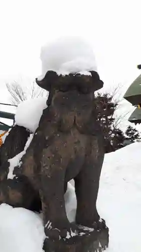 烈々布神社の狛犬