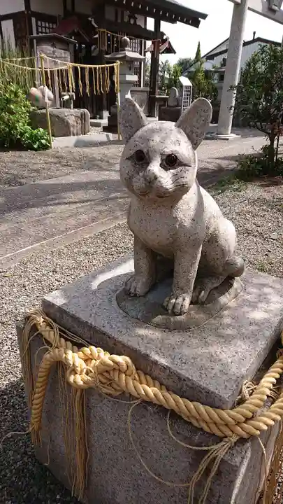 阿豆佐味天神社 立川水天宮の狛犬