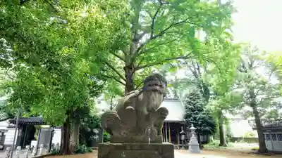 上連雀神明社の狛犬