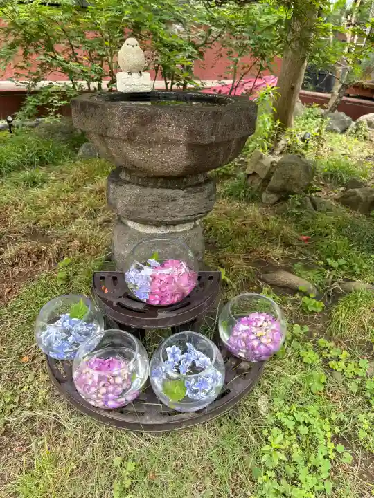 法輪寺の{uncategorized: "未分類", other: "その他", undefined: "問題あり", building: "その他建物", grave: "お墓", sacred_gate: "鳥居", guardian: "狛犬", statue: "像", buddha: "仏像", history: "歴史", nature: "自然", garden: "庭園", animal: "動物", pagoda: "塔", temizu: "手水舎", mountain_gate: "山門・神門", sanctuary: "本殿・本堂", subordinate: "末社・摂社", art: "芸術", scenery: "景色", jizo: "地蔵", ema: "絵馬", goshuin: "御朱印", omikuji: "おみくじ", items: "授与品その他", amulet: "お守り", goshuincho: "御朱印帳", eats: "食事", festival: "お祭り", votive_dance: "神楽", shichigosan: "七五三参", wedding: "結婚式", experience: "体験その他", initially: "初詣", around: "周辺", anti_infection: "感染症対策"}