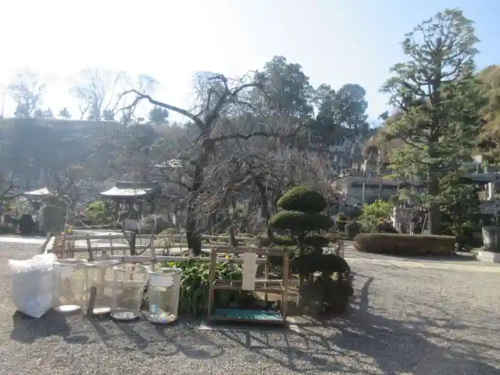 妙法寺(神奈川県)