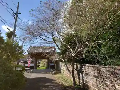 妙隆寺の山門・神門