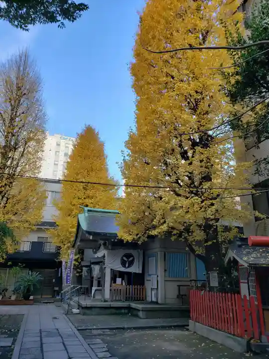 銀杏岡八幡神社の自然