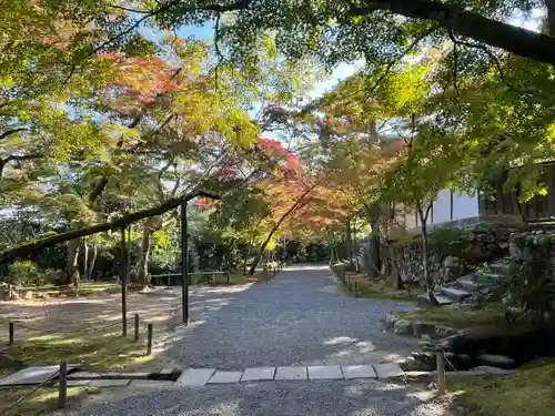 二尊院(京都府)