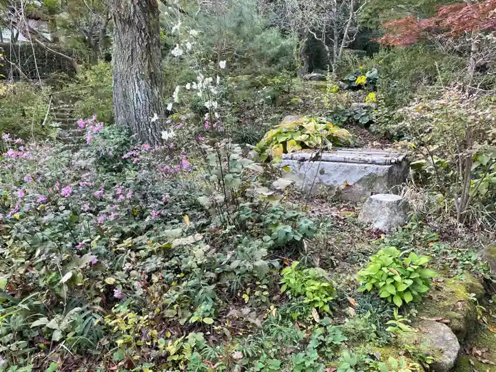 常寂光寺(京都府)