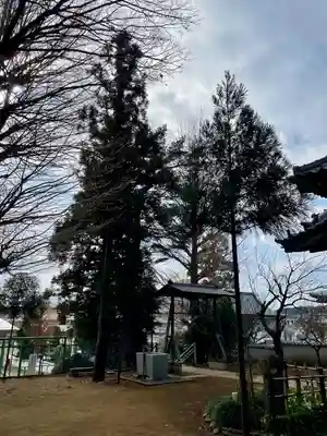 中山杉山神社(神奈川県)