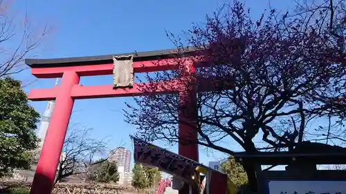 亀戸天神社の鳥居