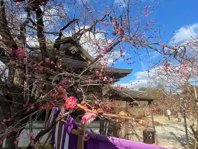 北野天満宮(京都府)