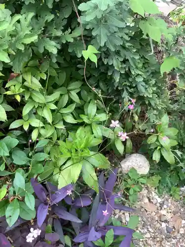 三輪神社の自然