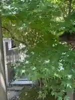 太田神社・高木神社(東京都)