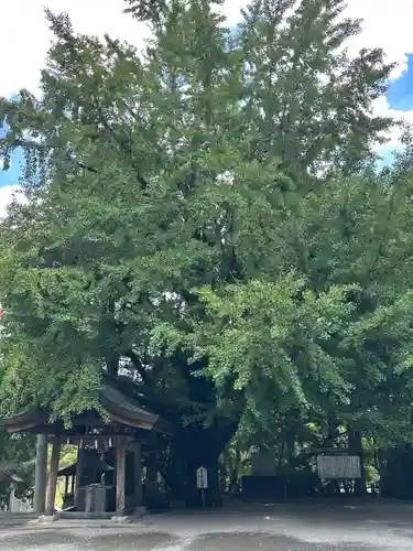 神柱宮(宮崎県)