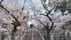 くろ谷 金戒光明寺の庭園