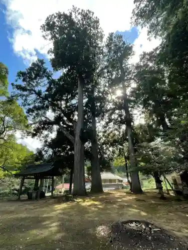 劔主神社(奈良県)