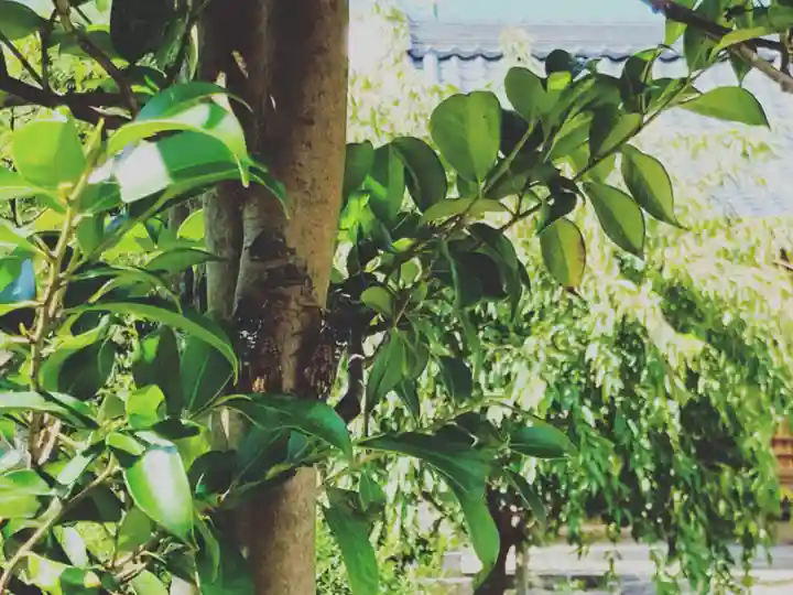 總社 和田八幡宮の景色