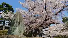 妙顯寺（妙顕寺）の自然