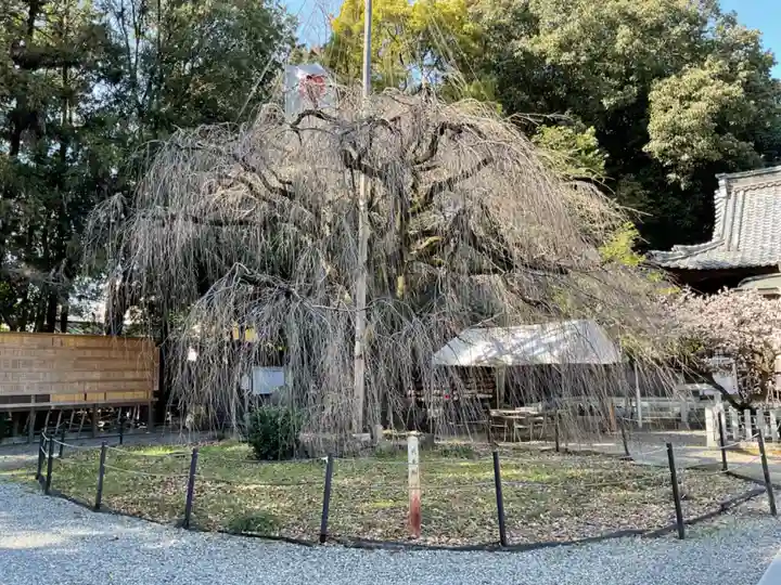 (長良)天神神社(岐阜県)