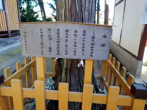 駒形神社(群馬県)