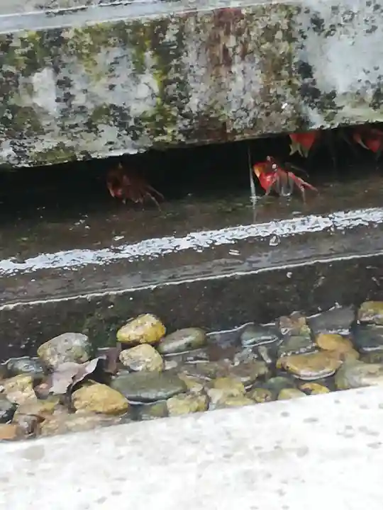 伊美別宮社のその他建物