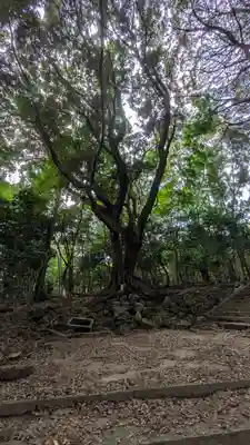 新羅善神堂（三井寺園城寺飛地境内・北院鎮守社）(滋賀県)