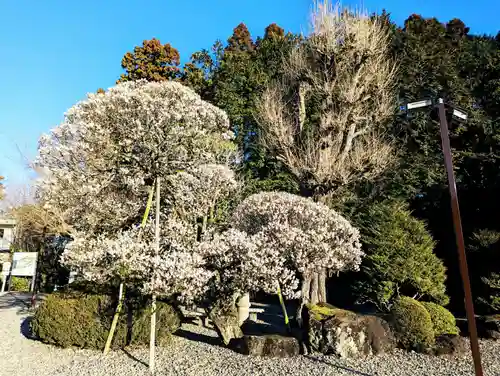 成田山新勝寺の自然