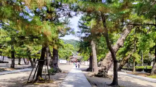 出雲大社(島根県)