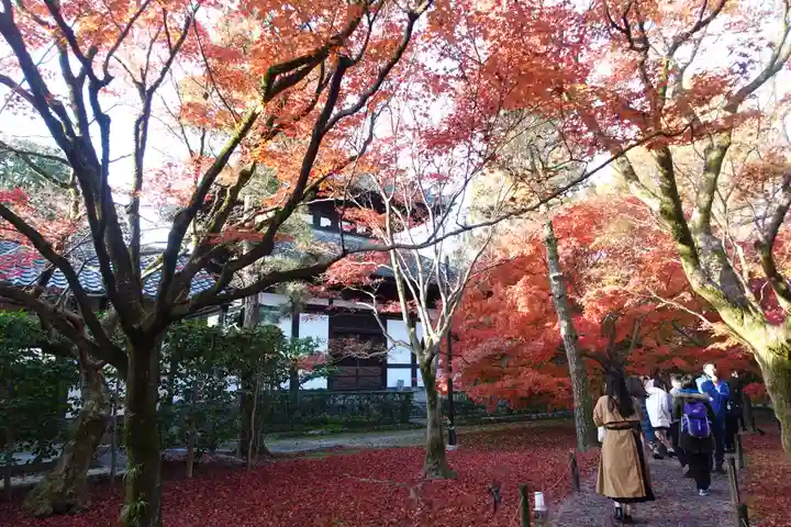 東福禅寺(東福寺)(京都府)