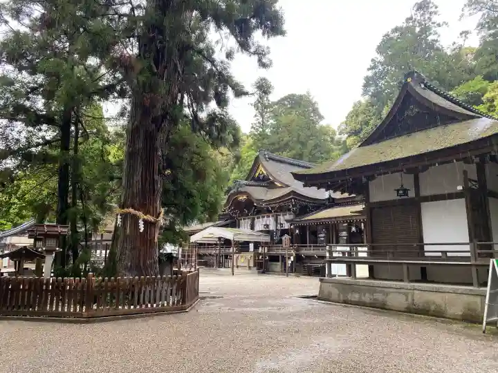 大神神社の{uncategorized: "未分類", other: "その他", undefined: "問題あり", building: "その他建物", grave: "お墓", sacred_gate: "鳥居", guardian: "狛犬", statue: "像", buddha: "仏像", history: "歴史", nature: "自然", garden: "庭園", animal: "動物", pagoda: "塔", temizu: "手水舎", mountain_gate: "山門・神門", sanctuary: "本殿・本堂", subordinate: "末社・摂社", art: "芸術", scenery: "景色", jizo: "地蔵", ema: "絵馬", goshuin: "御朱印", omikuji: "おみくじ", items: "授与品その他", amulet: "お守り", goshuincho: "御朱印帳", eats: "食事", festival: "お祭り", votive_dance: "神楽", shichigosan: "七五三参", wedding: "結婚式", experience: "体験その他", initially: "初詣", around: "周辺", anti_infection: "感染症対策"}