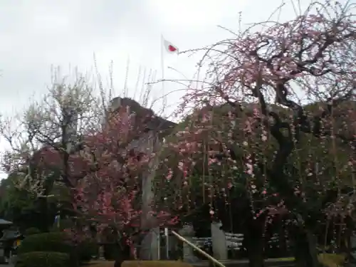 出水神社の自然