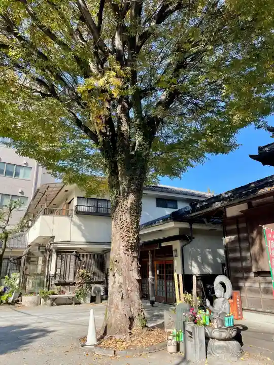 魚籃寺(東京都)