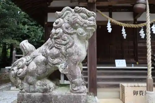 高徳神社の狛犬