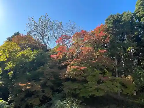 国上寺(新潟県)