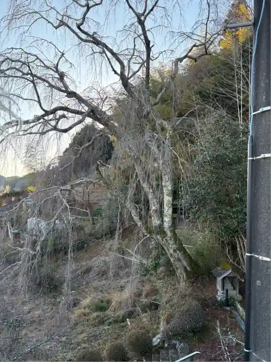 福田寺(愛知県)